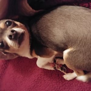 Meet your Posher, Georgia